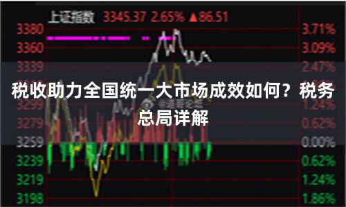 税收助力全国统一大市场成效如何？税务总局详解