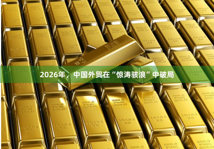 2026年，中国外贸在“惊涛骇浪”中破局