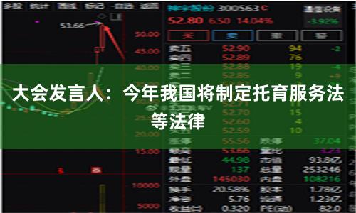 大会发言人：今年我国将制定托育服务法等法律